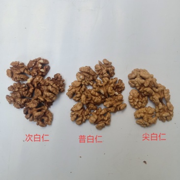 2024年新货山西汾阳原色原味核桃仁新鲜实惠