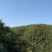 竹竿8米，是制作各种编织品优良资源