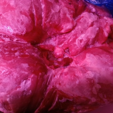 4号肉，后腿纯瘦肉。低价抢购中