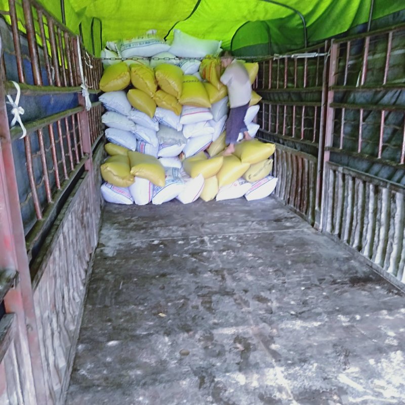 油菜籽色香味俱全。质量保证