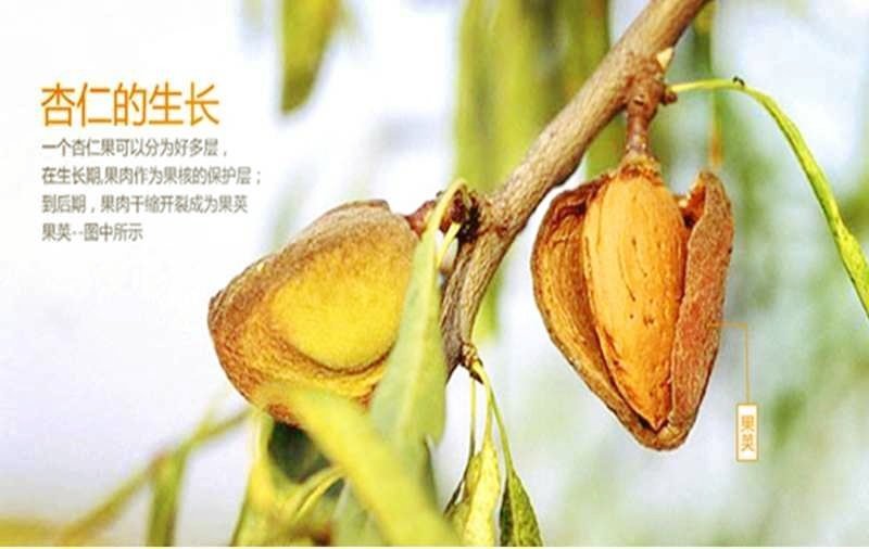 椒盐薄皮巴旦木香脆可口重量足包邮2斤
