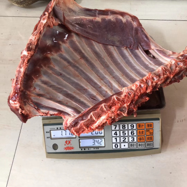 鹿排骨梅花鹿排骨精品鹿排骨一斤一袋已经分割完吉林双阳