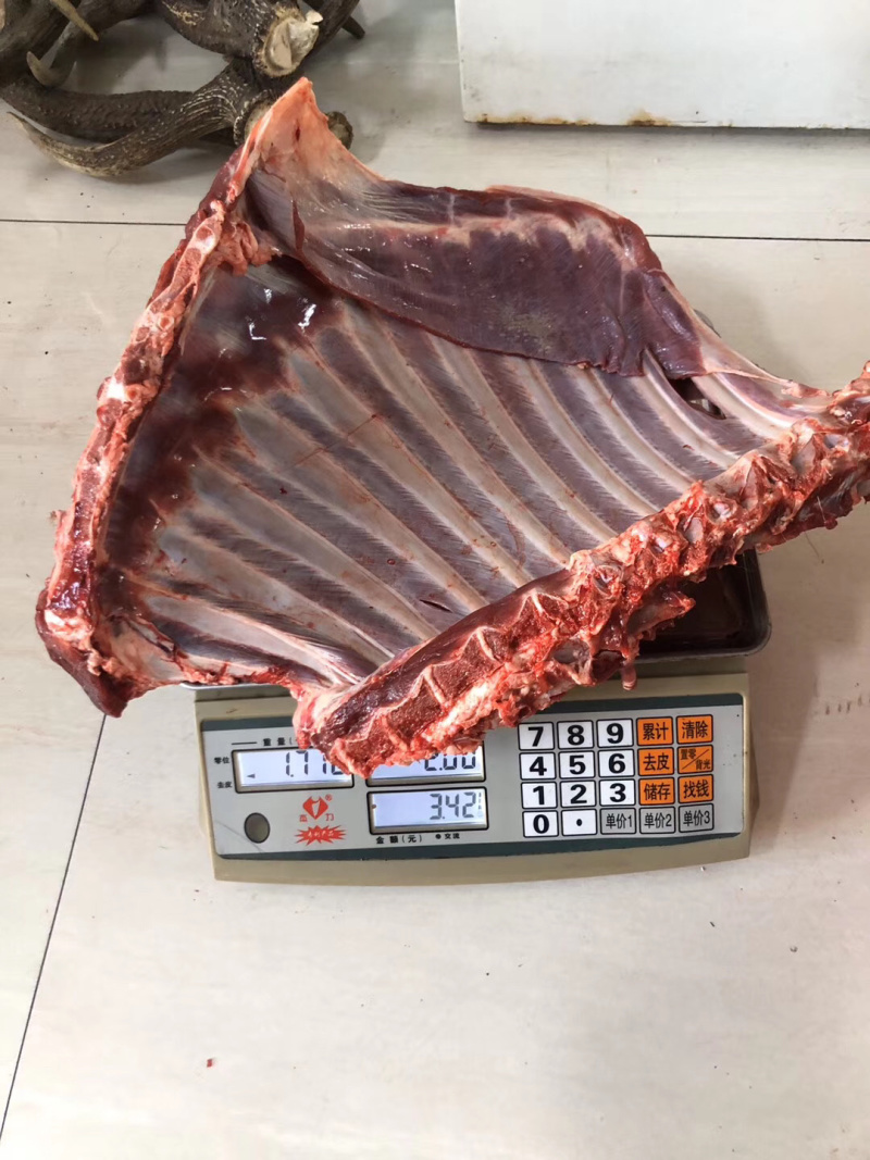 鹿排骨梅花鹿排骨精品鹿排骨一斤一袋已经分割完吉林双阳