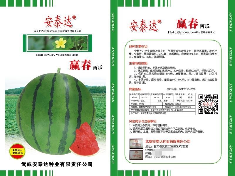 西瓜种子改良8424种子美都