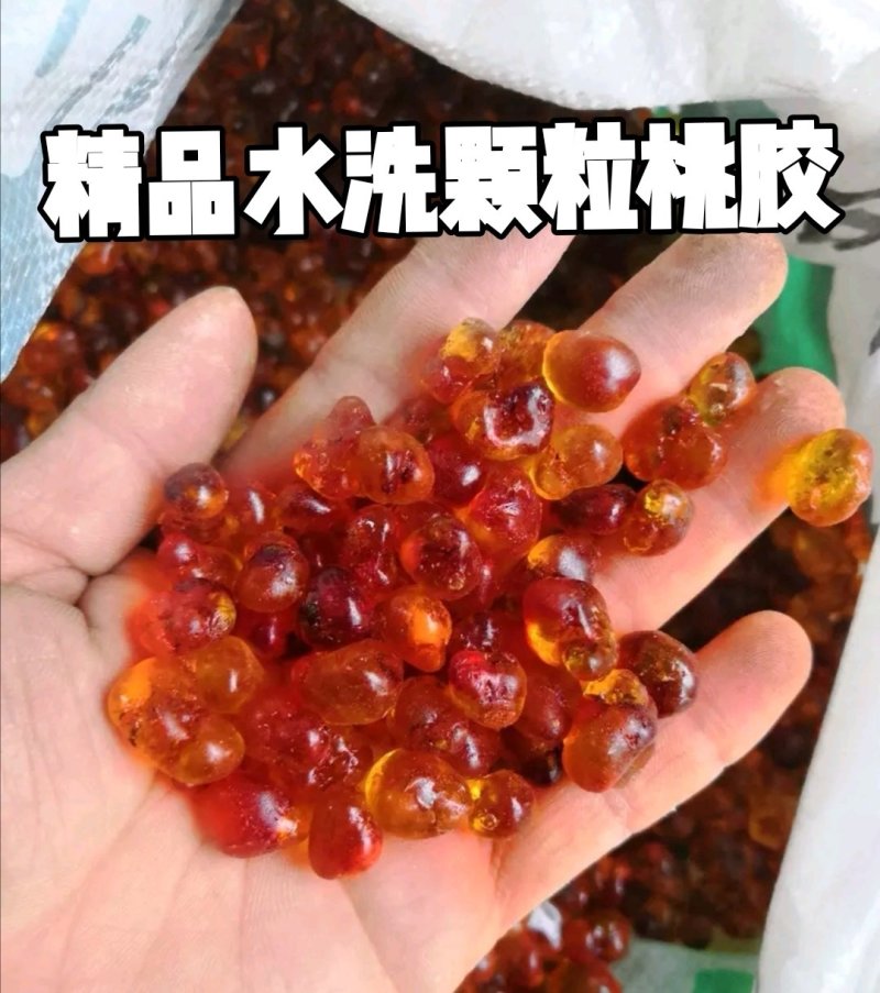 【有好货】包邮云南特产野生桃胶大颗粒手工修剪产地无杂质