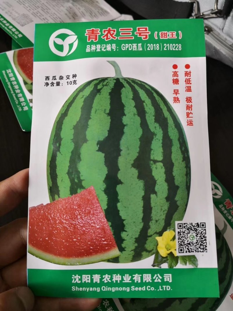 京欣西瓜种子美都种子美都