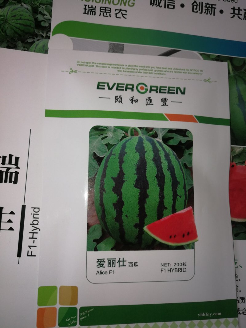 京欣西瓜种子美都种子美都