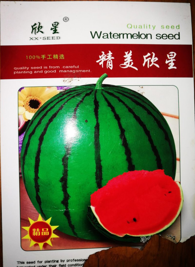 京欣西瓜种子美都种子美都