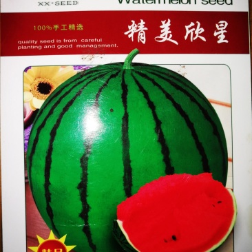 赢春西瓜种子口感好微萌美都美都种子
