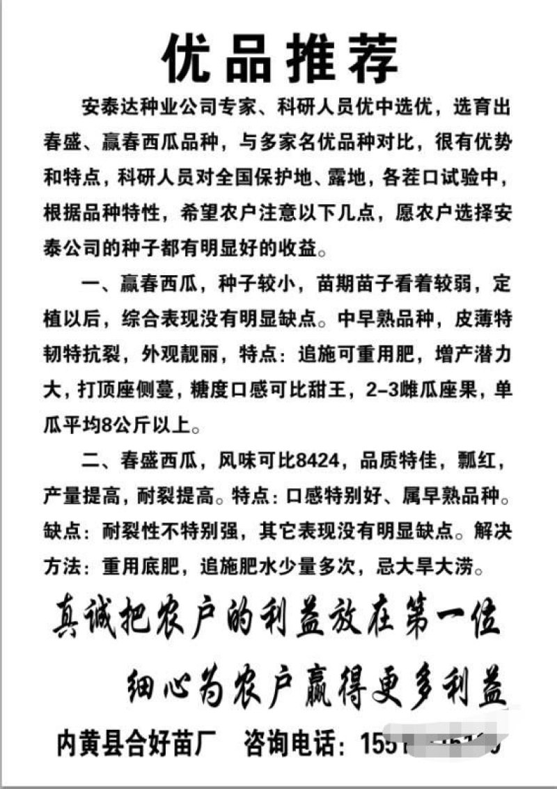 赢春西瓜种子口感好微萌美都美都种子