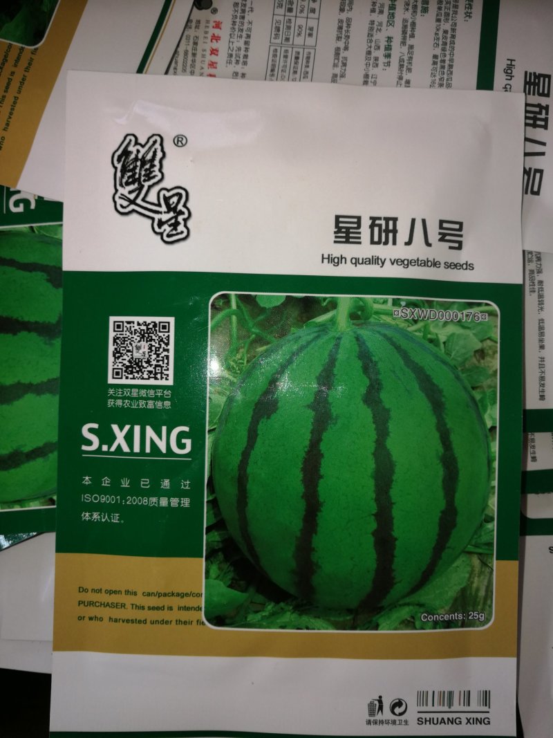 赢春西瓜种子口感好微萌美都美都种子