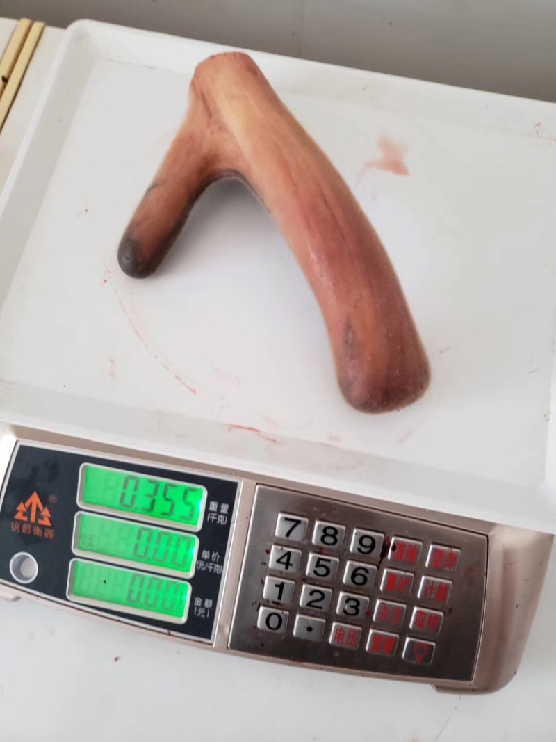 鲜鹿茸整只梅花鹿鹿茸二杠鹿茸东北吉林双阳鹿乡镇鹿厂直发