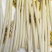 四季供应鲜蒲菜物美价廉