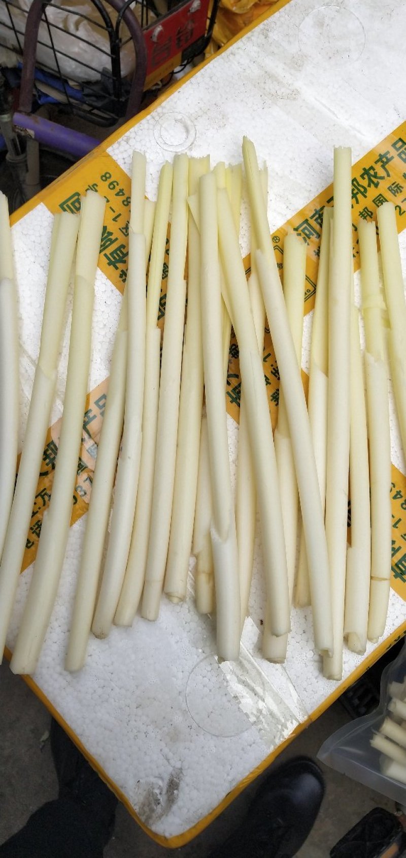 四季供应鲜蒲菜物美价廉