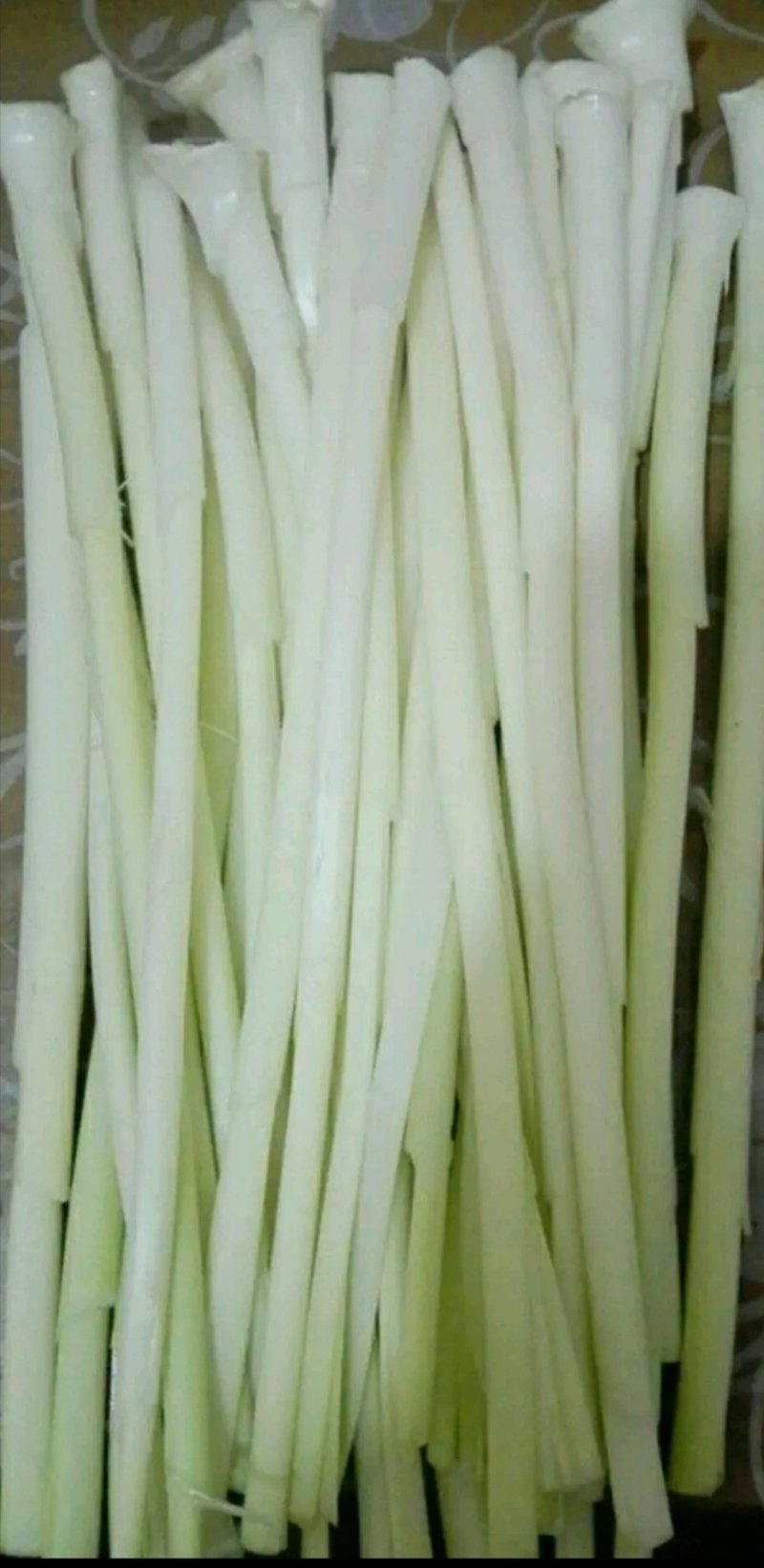 四季供应鲜蒲菜物美价廉