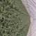 高品质大棚红根蒜苗产地直销