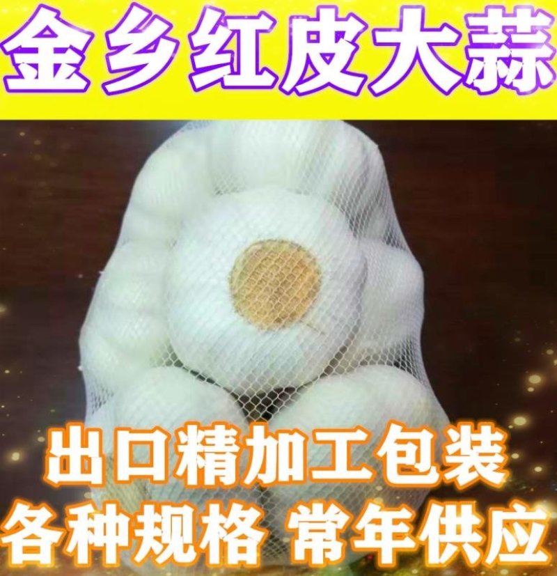 大蒜基地金乡，红皮大蒜，白皮大蒜精包装，市场通货天天供应
