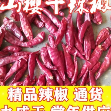 金乡新辣椒干，精品货，各种规格，冷库储存干辣椒