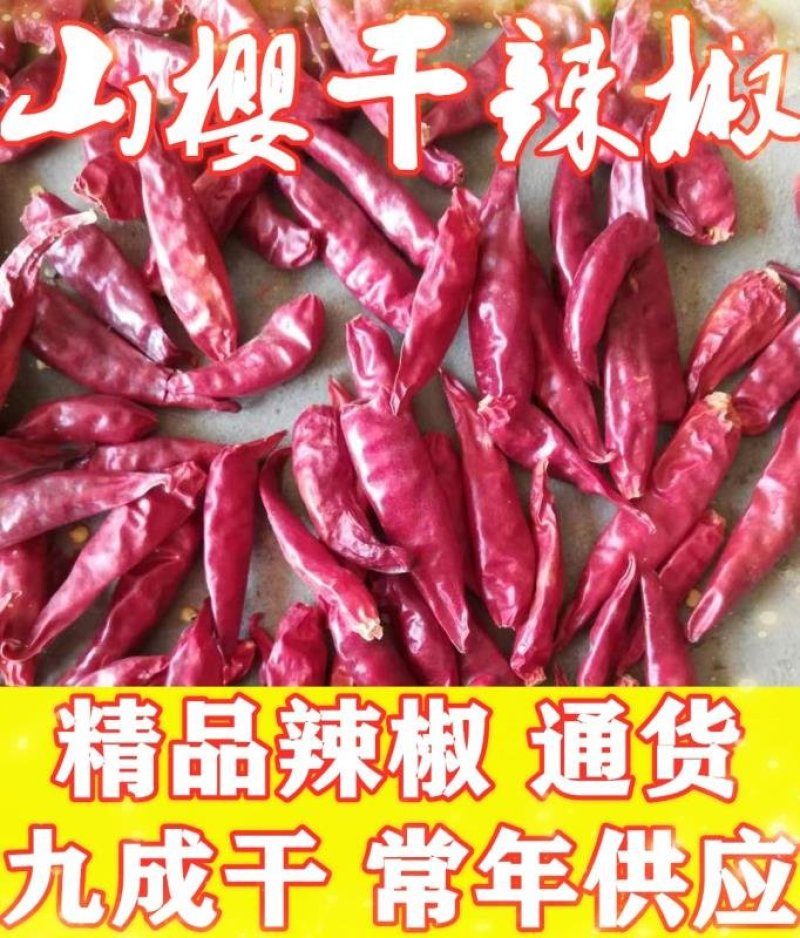 金乡新辣椒干，精品货，各种规格，冷库储存干辣椒