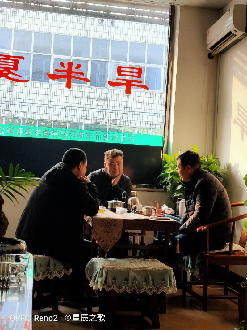 优质半夏种，自己基地生产！品种优良，价格美丽！干净无杂质