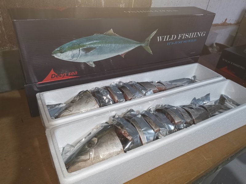 寒鰤鱼。黄金鲅豪华礼盒