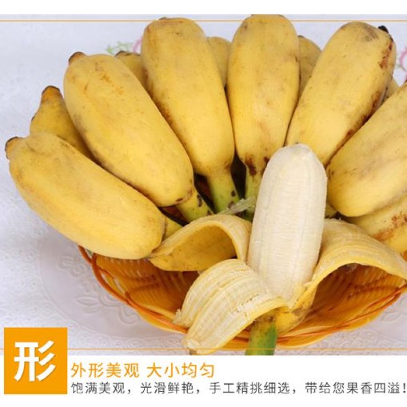 广西新鲜小米蕉原产地水果9斤小鸡蕉米蕉