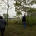 乌桕，乌桕价格河南潢川苗木基地乌桕价格。