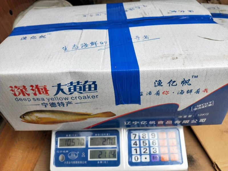 黄花鱼单条速冻一箱20斤