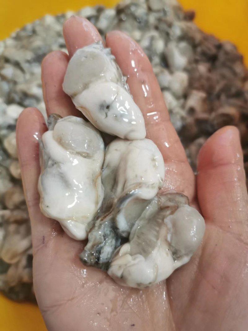丹东特产新鲜海蛎子肉生蚝生鲜即食一袋5斤