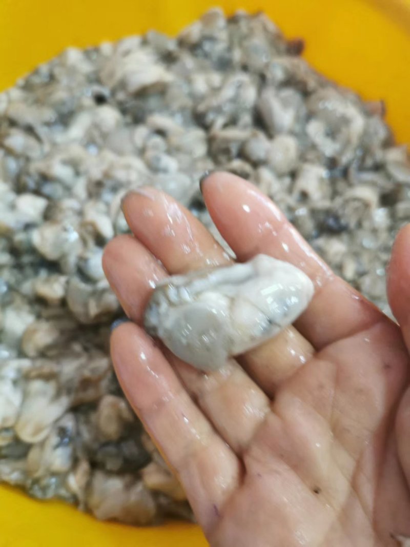 丹东特产新鲜海蛎子肉生蚝生鲜即食一袋5斤