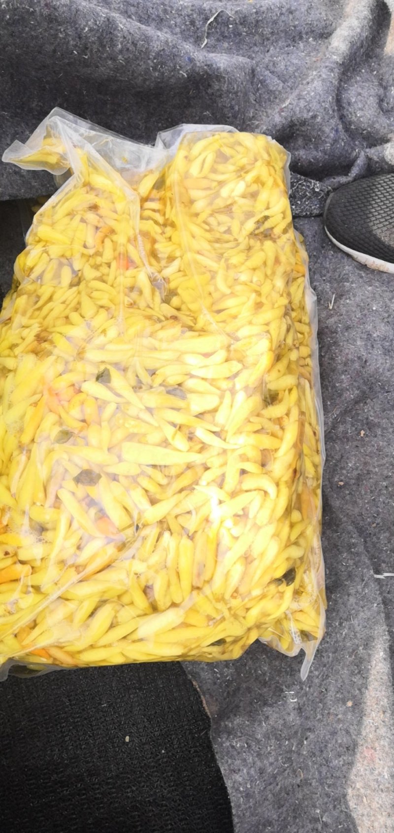 泡辣椒