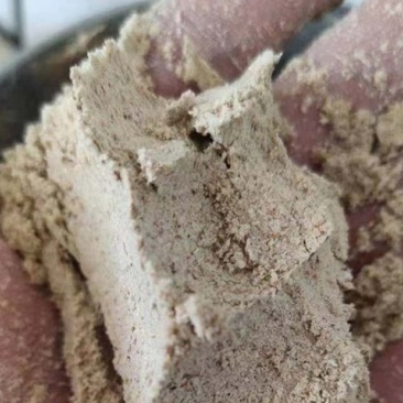 大量供应厂家直销饲料型家禽猪牛小米油糠（磨光面子）谷糠抛