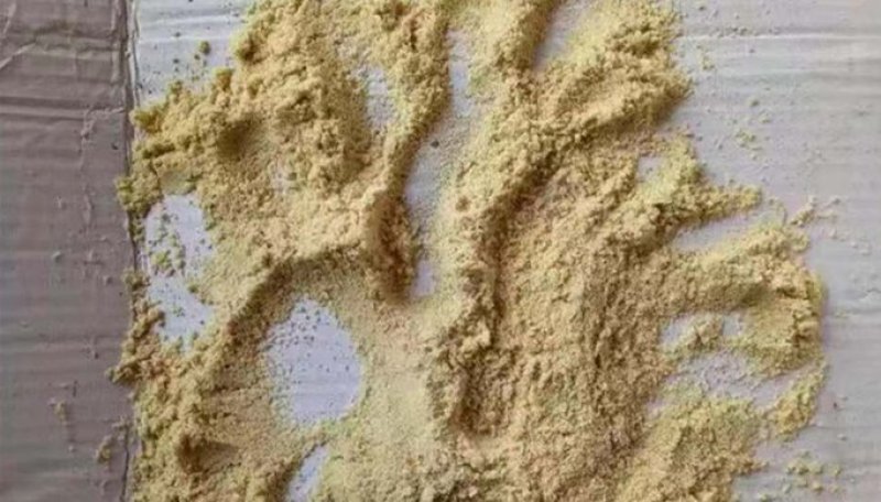 大量供应厂家直销饲料型家禽猪牛小米油糠（磨光面子）谷糠抛