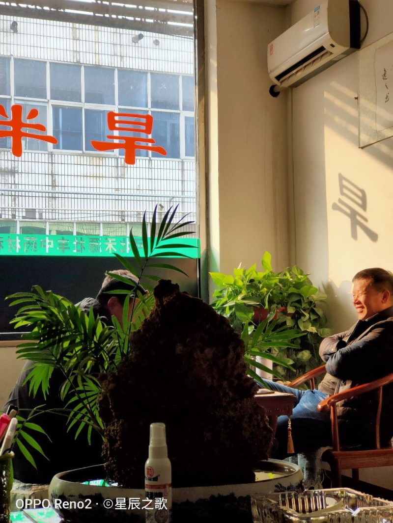 出售河北保定安国优质旱半夏种苗！干净无杂质！品种优良纯正