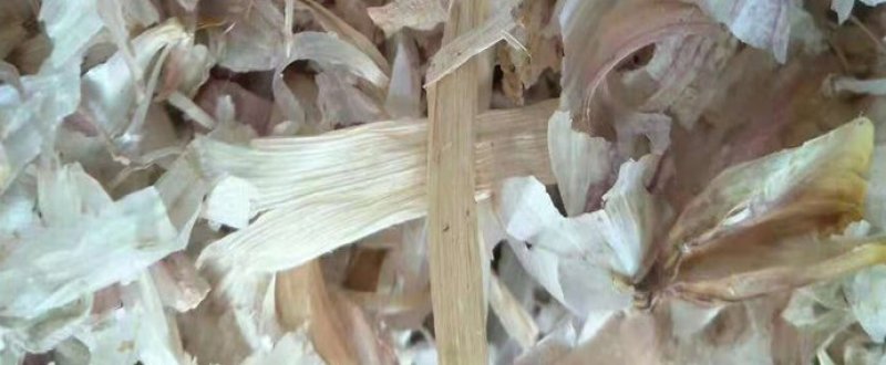 秋优质大蒜皮上市养殖用高蛋白低成本高效益大蒜皮