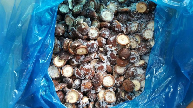 鲜香菇3.5-6厘米，无腿，不开伞干净卫生，值得购买