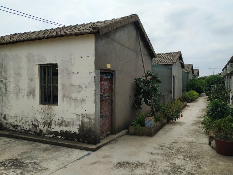 出租钟祥400平孔雀养殖场