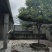 出租钟祥400平孔雀养殖场