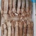 冷冻皮皮虾，新鲜活冻，带黄皮皮虾