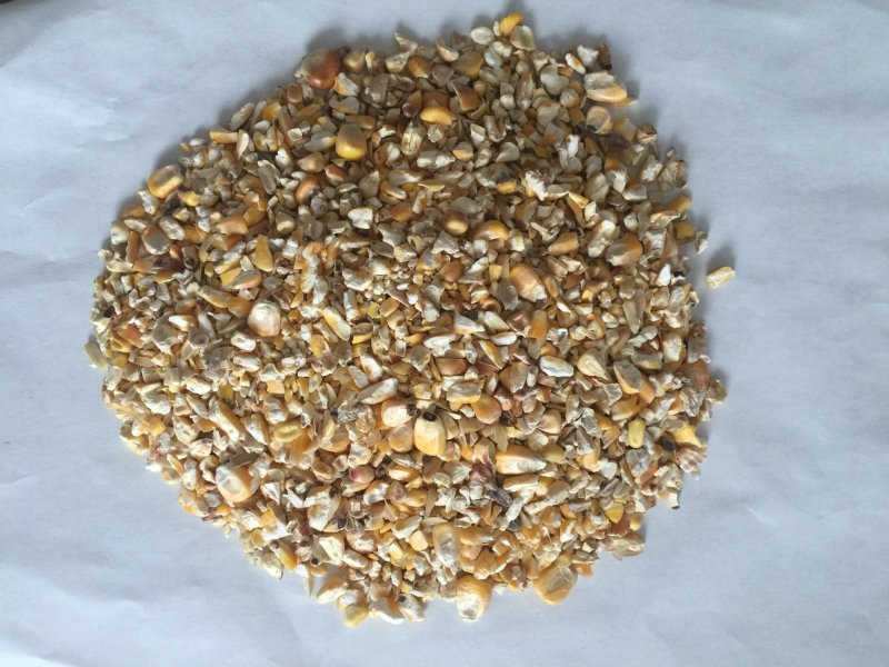 大量优惠供应优质碎玉米颗粒饲料牛羊鹅鸭专用饲料原料
