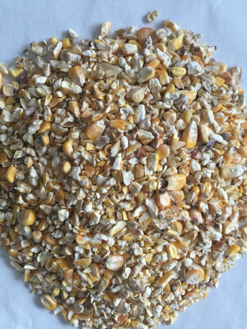 大量优惠供应优质碎玉米颗粒饲料牛羊鹅鸭专用饲料原料