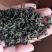 蒲公英茶绿茶工艺炒制味道香