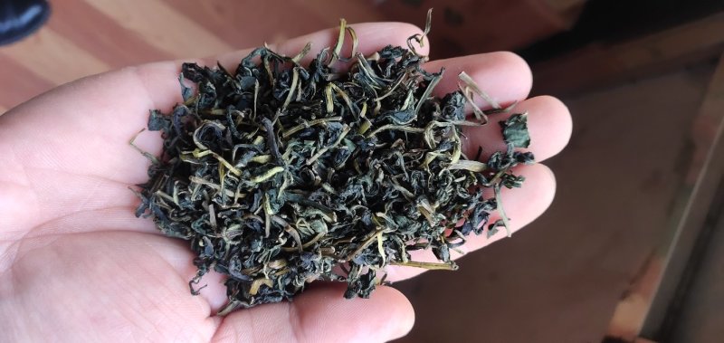 蒲公英茶绿茶工艺炒制味道香