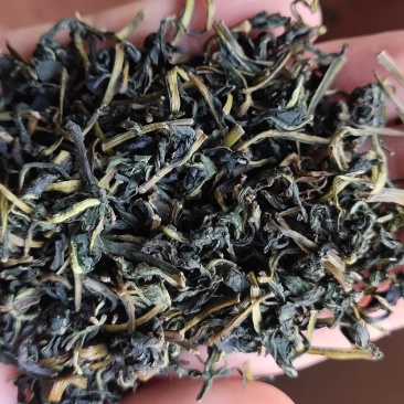 蒲公英茶绿茶工艺炒制味道香