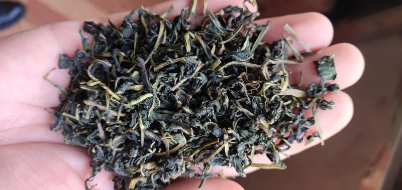 蒲公英茶绿茶工艺炒制味道香