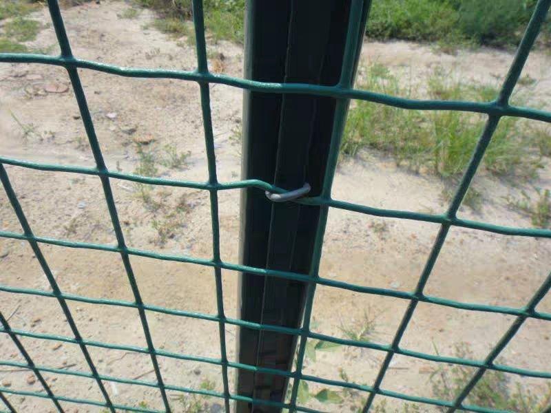 荷兰网养殖网护栏网隔离网铁丝防护网栅栏围墙圈地网