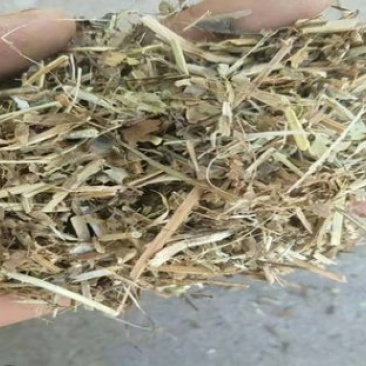 厂家直销牛羊畜牧草饲料优质花生秧干草料花生秸秆青贮粗饲