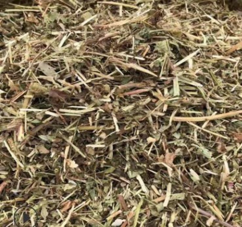 厂家直销牛羊畜牧草饲料优质花生秧干草料花生秸秆青贮粗饲