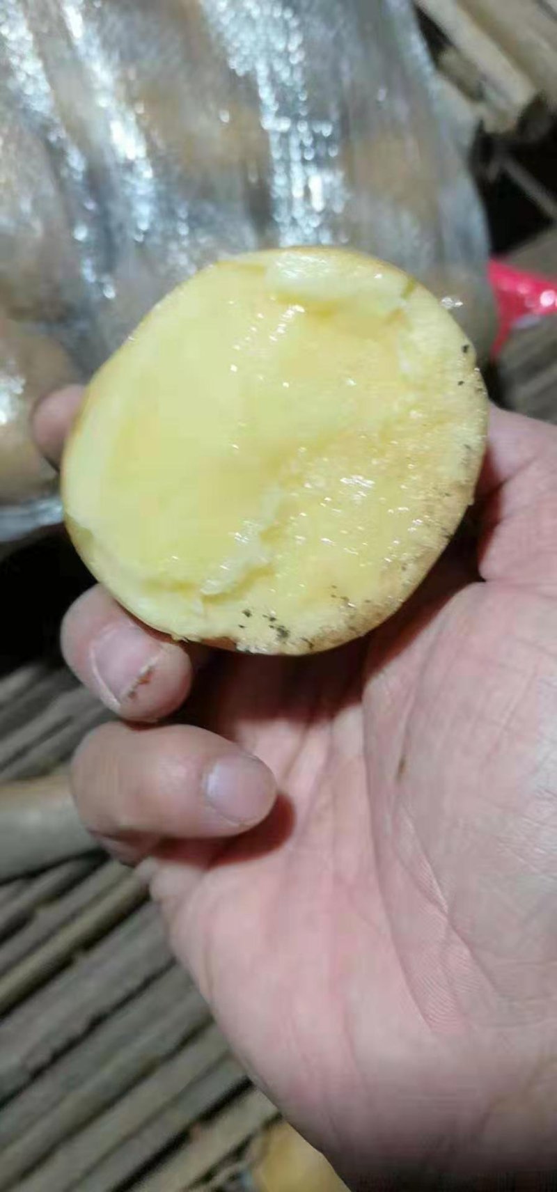 土豆