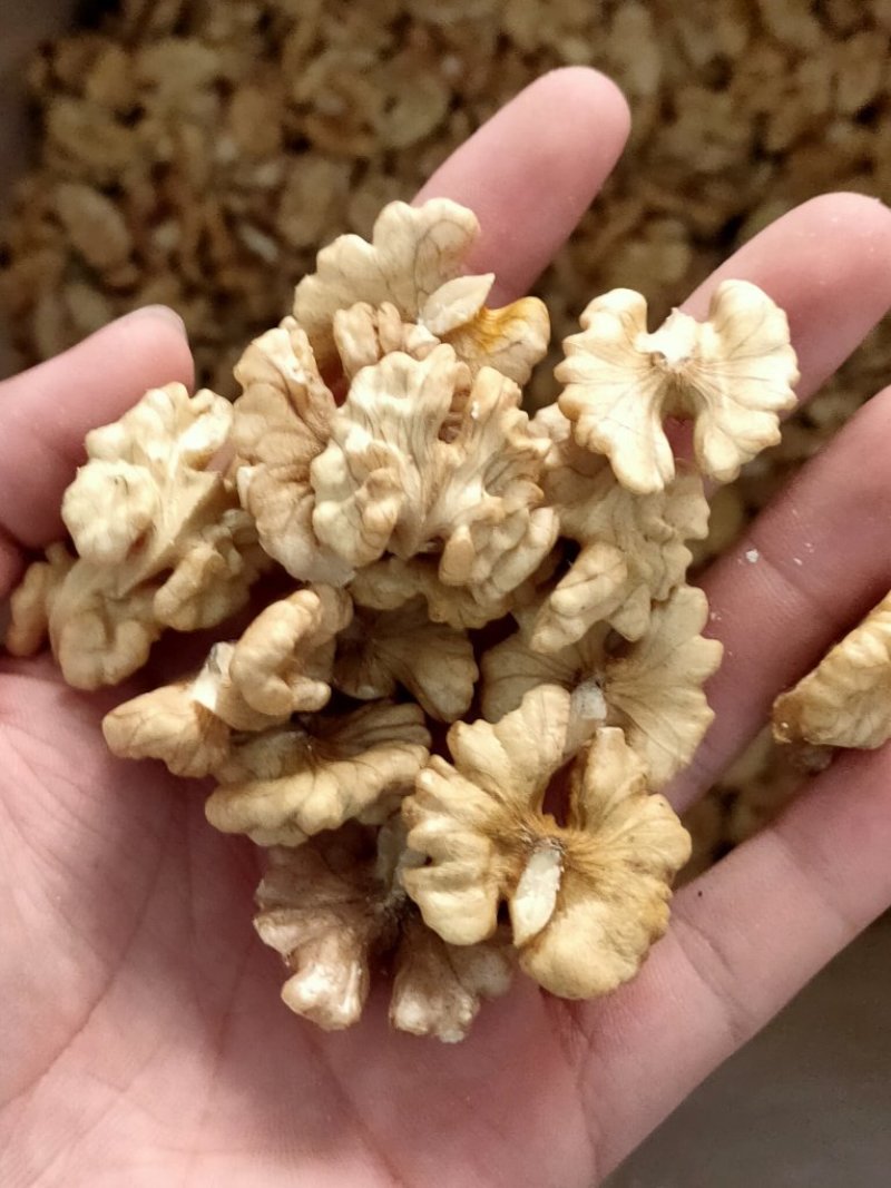 云南一路尖白核桃仁新货核桃仁（厂家直销批发）